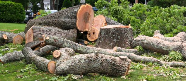 Best Utility Line Clearance  in Tehachapi, CA
